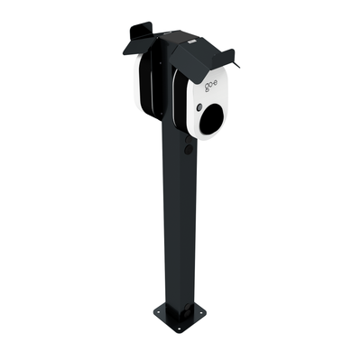 Double Wallbox Pole Mount
